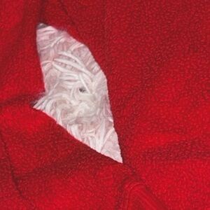 The perfect, red, long sleeve sweater!